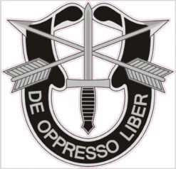 Green Beret Special Forces Cornhole Decal